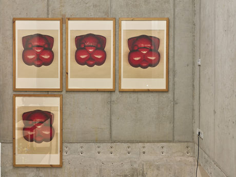 Die Kunstsammlung Der Schrank von Ramon Haze / The Cabinet of Ramon Haze, 1996ff.