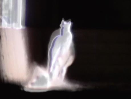 Barbara Hammer, A Horse Is Not A Metaphor, 2008, video, color, b&w, sound by Meredith Monk, 30 min