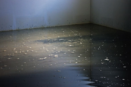 Arno Brandlhuber, Im Archipel, KOW exhibition space filled with water, Sep 2012 (Photo: Alexander Koch)