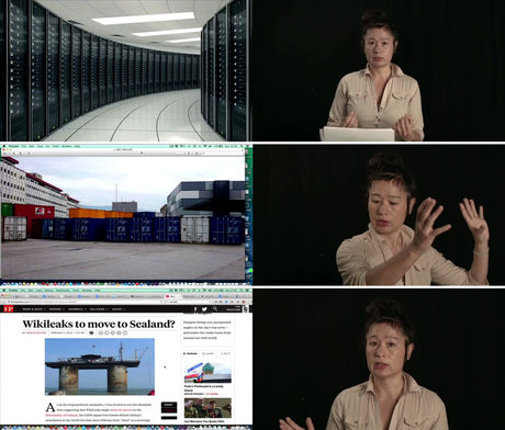 Hito Steyerl, Duty Free Art, 2015