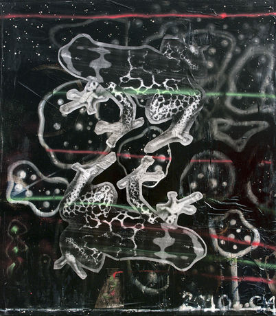 Double Frog Midnight, 2010, oil, acrylic, collage, spray paint on canvas, 223,5 x 195,6 cm