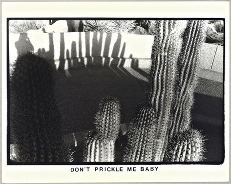 Barbara Hammer, Don't Prickle Me Baby, 1983
