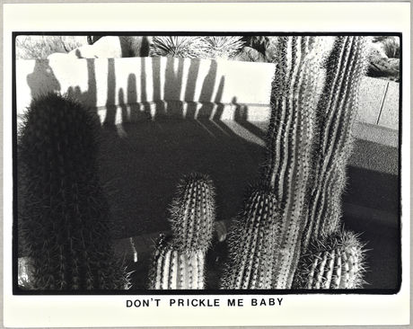 Barbara Hammer, Don't Prickle Me Baby, 1983