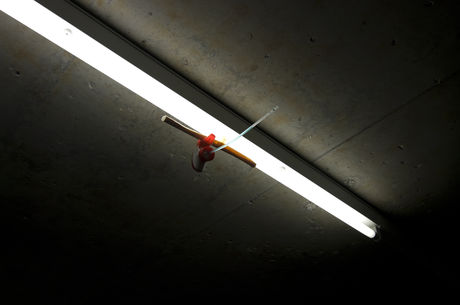 Untitled, 2010, plastic bone, metal hook, windex spray nossle, tape, fluorescent light