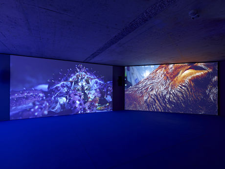 Mario Pfeifer, Exhibition view: Approximation in the digital age to a humanity condemned to disappear, 2015