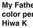 Hiwa K: My Father’s color periods: 2014