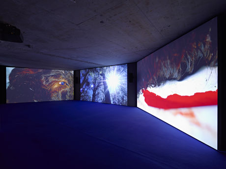 Mario Pfeifer, Exhibition view: Approximation in the digital age to a humanity condemned to disappear, 2015