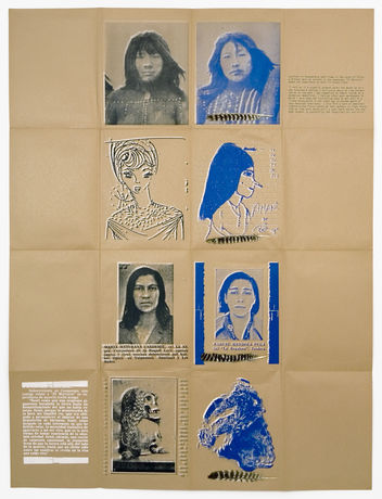 Eugenio Dittborn: 9 Survivors (Feathers), Airmail Painting No. 51, 1986-2007