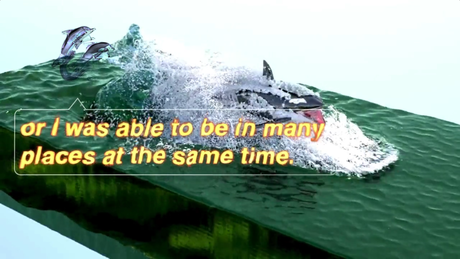 Hito Steyerl, Liquidity Inc., 2014