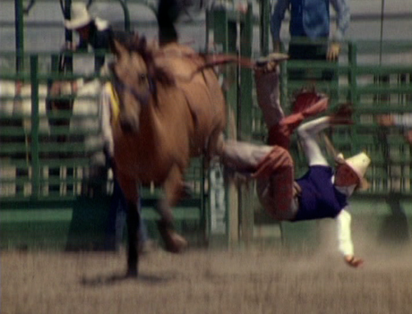 Barbara Hammer, A Horse Is Not A Metaphor, 2008, video, color, b&w, sound by Meredith Monk, 30 min