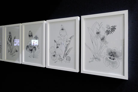 Arno Brandlhuber, This Is Me This Is My Country, 2012, 10 botanic drawings (by Roland Spohn), video projection, orchids, architectural model, booklet